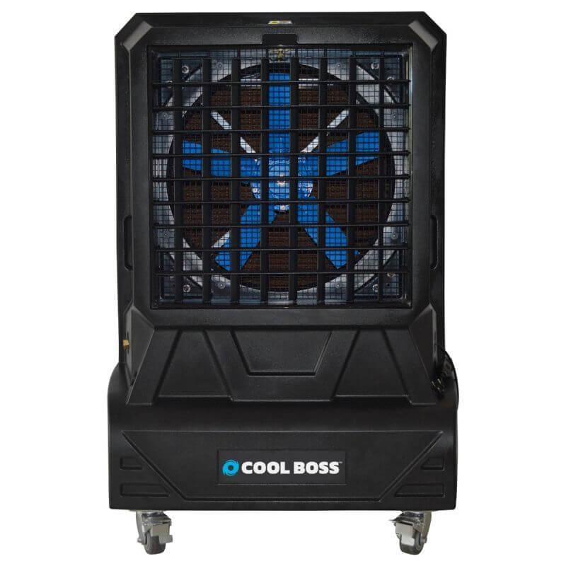 クールス COOLS 40TH ANNIVERSARY LIVE 2015 Amazon.co.jp: 40TH ANNIVERSARY LIVE 2015 [DVD] : COOLS