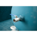 Saylor-Beall 451512-FP Tank Valve View
